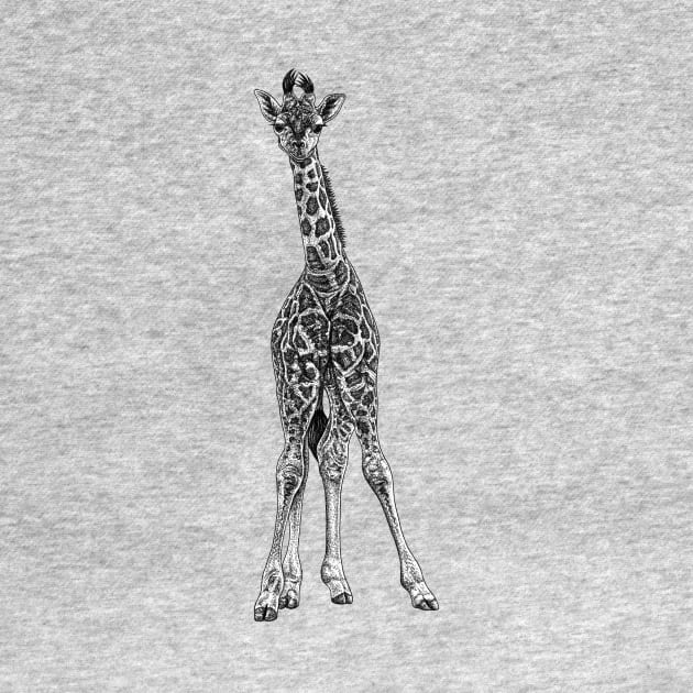 Baby giraffe - ink illustration by lorendowding